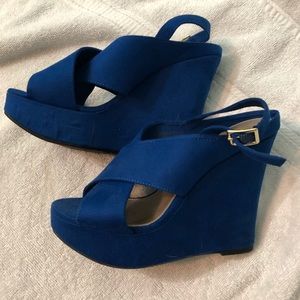 Blue Wedged Shoes